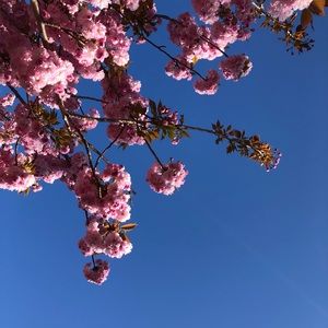 Meet your Posher, Mia